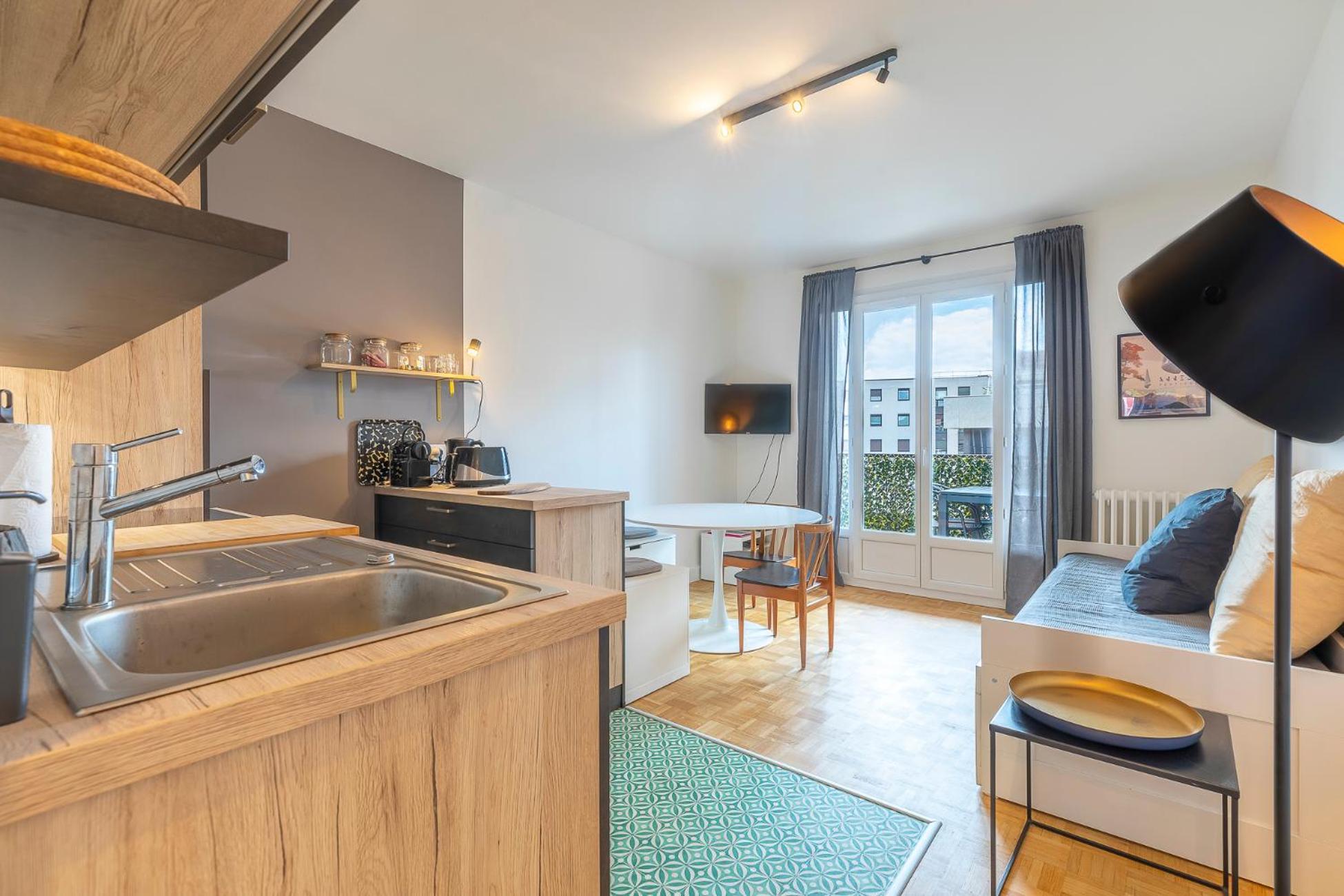 Annecy Centre Et Lac Charmant Type 3 Terrasse المظهر الخارجي الصورة