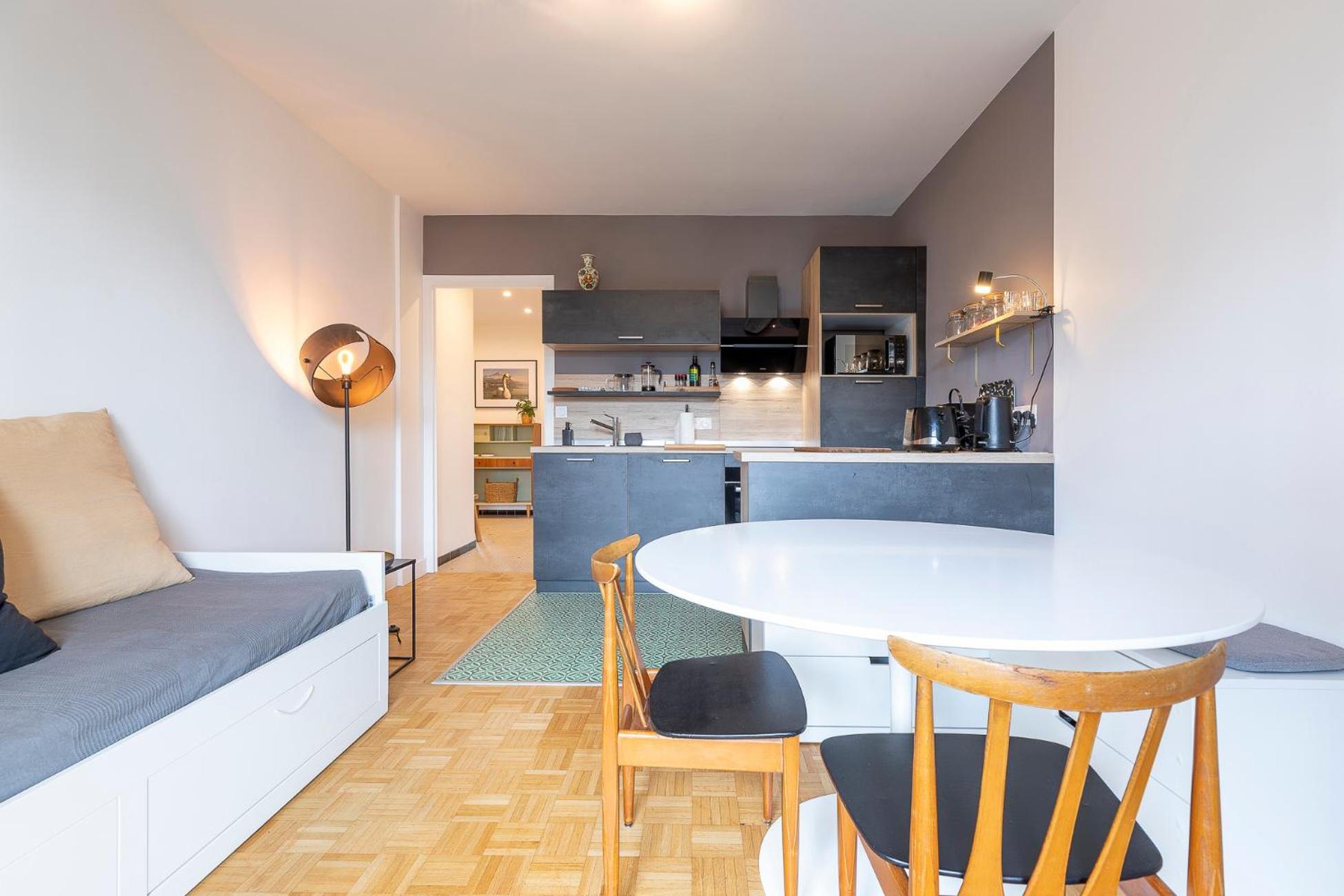 Annecy Centre Et Lac Charmant Type 3 Terrasse المظهر الخارجي الصورة